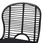 Lot de 2 chaises de salle à manger modernes en rotin et métal de style bohème